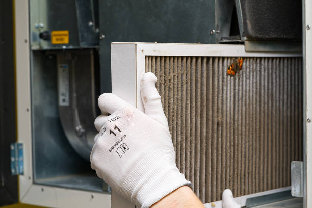 Best Air Vent Cleaning Services  in Eggertsville, NY