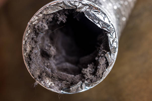 Best Air Duct Cleaning Near Me  in Eggertsville, NY