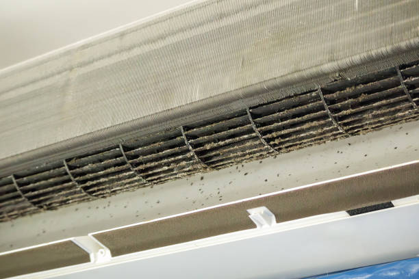 Best Residential Air Duct Cleaning  in Eggertsville, NY