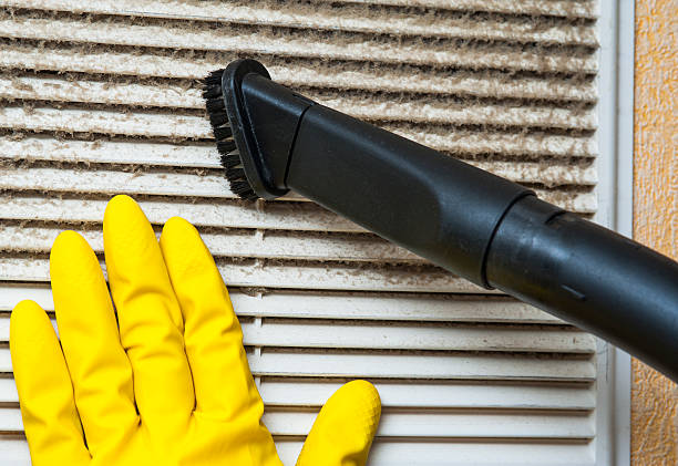 Best Ductwork Cleaning Services  in Eggertsville, NY